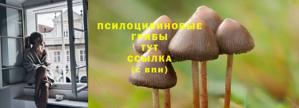 ECSTASY Алексин